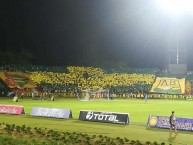 Foto: "TIFO AB" Barra: Fortaleza Leoparda Sur • Club: Atlético Bucaramanga