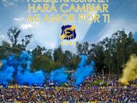 Foto: Barra: Los del Cerro • Club: Everton de Viña del Mar • País: Chile