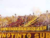 Foto: Barra: Revolución Vinotinto Sur • Club: Tolima • País: Colombia