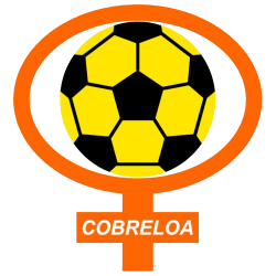 Fanaticas hinchas de la barra brava Huracan Naranja y hinchada del club de fútbol Cobreloa de Chile