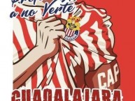 Desenho - Diseño - Arte - Dibujo de la Barra: La Irreverente • Club: Chivas Guadalajara