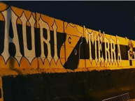 Mural - Graffiti - Pintadas - Mural de la Barra: Al Hueso Pirata • Club: Coquimbo Unido • País: Chile