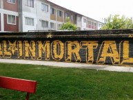 Mural - Graffiti - Pintadas - "Vial Inmortal" Mural de la Barra: Furia Guerrera • Club: Fernández Vial • País: Chile