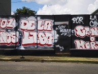 Mural - Graffiti - Pintadas - Mural de la Barra: La 12 • Club: Alajuelense • País: Costa Rica