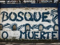 Mural - Graffiti - Pintada - "Bosque o muerte" Mural de la Barra: La Banda de Fierro 22 • Club: Gimnasia y Esgrima