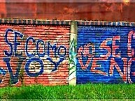 Mural - Graffiti - Pintada - "'NO SE COMO VOY, NO SE COMO VENGO' " Mural de la Barra: La Barra Del Matador • Club: Tigre