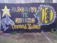 Mural - Graffiti - Pintadas - Mural de la Barra: La Pesada del Puerto • Club: Aldosivi • País: Argentina