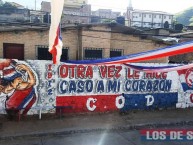 Mural - Graffiti - Pintada - "BARRA BRAVA" Mural de la Barra: La Ultra Fiel • Club: Club Deportivo Olimpia