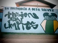 Mural - Graffiti - Pintada - "pasion sin limites" Mural de la Barra: Trinchera Celeste • Club: O'Higgins
