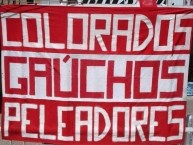 Trapo - Bandeira - Faixa - Telón - "Colorados gaúchos peleadores" Trapo de la Barra: Guarda Popular • Club: Internacional