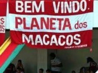 Trapo - Bandeira - Faixa - Telón - "Bem vindo ao planeta dos macacos" Trapo de la Barra: Guarda Popular • Club: Internacional • País: Brasil