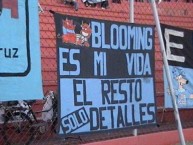 Trapo - Bandeira - Faixa - Telón - Trapo de la Barra: Los Chiflados • Club: Blooming