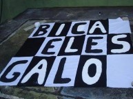 Trapo - Bandeira - Faixa - Telón - "Mov 105 - Bica eles Galo" Trapo de la Barra: Movimento 105 Minutos • Club: Atlético Mineiro
