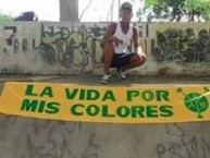 Trapo - Bandeira - Faixa - Telón - "La vida por mis colores" Trapo de la Barra: Rebelión Auriverde Norte • Club: Real Cartagena