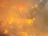 Foto: "Semifinal de la copa libertadores, 30/10/2024" Barra: Barra Amsterdam • Club: Peñarol • País: Uruguay