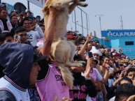 Foto: "De visitante o local" Barra: Barra Popular Juventud Rosada • Club: Sport Boys