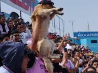 Foto: Barra: Barra Popular Juventud Rosada • Club: Sport Boys