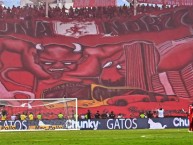Foto: Barra: Disturbio Rojo Bogotá &bull; Club: América de Cáli