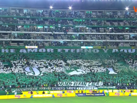 Foto: "Hinchada del Deportivo Cali vs Independiente Medellín" Barra: Frente Radical Verdiblanco • Club: Deportivo Cali