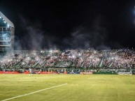 Foto: Barra: Frente Radical Verdiblanco • Club: Deportivo Cali • País: Colombia
