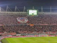 Foto: "Bloke Los 500 Masoquistas" Barra: Frente Rojiblanco Sur &bull; Club: Junior de Barranquilla &bull; País: Colombia