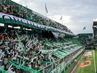 Foto: Barra: La Banda del Sur • Club: Banfield