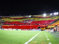 Foto: Barra: La Guardia Albi Roja Sur &bull; Club: Independiente Santa Fe