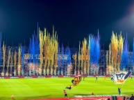 Foto: "ORGULLO AZUL Y ORO" Barra: La Rebel &bull; Club: Pumas &bull; País: México