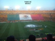 Foto: "Tigres vs Inter de Porto Alegre - Semifinal Copa Libertadores 2015" Barra: Libres y Lokos • Club: Tigres