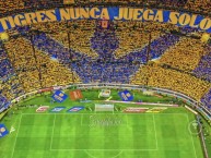 Foto: "Tigres nunca juega solo" Barra: Libres y Lokos &bull; Club: Tigres &bull; País: México