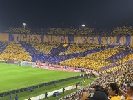 Foto: "Tigres nunca juega solo" Barra: Libres y Lokos &bull; Club: Tigres &bull; País: México