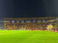 Foto: Barra: Libres y Lokos &bull; Club: Tigres &bull; País: México