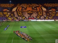 Foto: Barra: Libres y Lokos &bull; Club: Tigres &bull; País: México