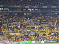 Foto: Barra: Libres y Lokos &bull; Club: Tigres