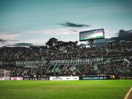 Foto: Barra: Los del Sur &bull; Club: Atlético Nacional &bull; País: Colombia