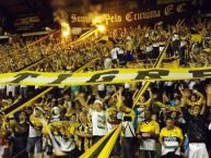 Foto: Barra: Os Tigres • Club: Criciúma