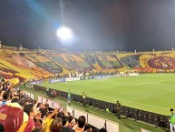 Foto: "Telón en homenaje a Gabriel Camargo" Barra: Revolución Vinotinto Sur • Club: Tolima