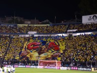 Foto: Barra: Ritual Del Kaoz • Club: América