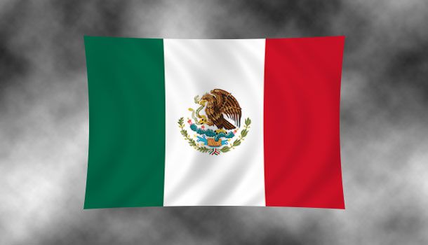 Historia del Movimiento Barra Brava en México