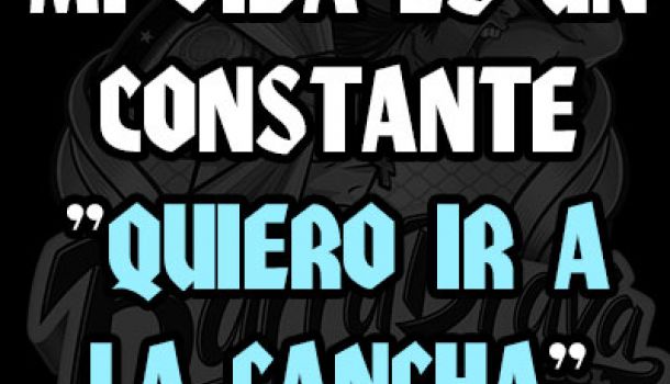 Mi vida es un constante "QUIERO IR A LA CANCHA"