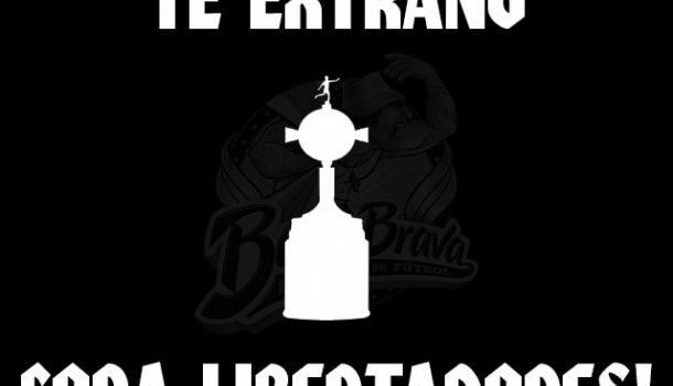 Te Extraño Copa Libertadores!