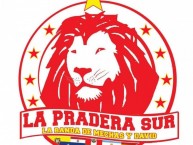 Desenho - Diseño - Arte - "LA PRADERA SUR" Dibujo de la Barra: La Guardia Albi Roja Sur • Club: Independiente Santa Fe