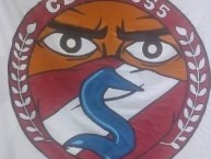 Desenho - Diseño - Arte - Dibujo de la Barra: Los Papayeros • Club: Deportes La Serena