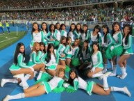 Hincha - Tribunera - Chica - "cheerleaders" Fanatica de la Barra: Frente Radical Verdiblanco • Club: Deportivo Cali