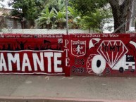 Mural - Graffiti - Pintada - Mural de la Barra: Baron Rojo Sur • Club: América de Cáli