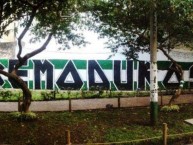 Mural - Graffiti - Pintadas - "Extremo Duro Sur." Mural de la Barra: Frente Radical Verdiblanco • Club: Deportivo Cali • País: Colombia