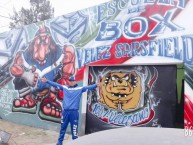 Mural - Graffiti - Pintada - "Mural realizado por la Peña de Salta 'Carlos Bianchi'" Mural de la Barra: La Pandilla de Liniers • Club: Vélez Sarsfield