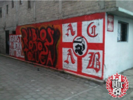 Mural - Graffiti - Pintada - Mural de la Barra: La Perra Brava • Club: Toluca