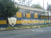Mural - Graffiti - Pintada - Mural de la Barra: La Rebel • Club: Pumas