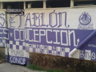 Mural - Graffiti - Pintada - Mural de la Barra: Los Lilas • Club: Club Deportes Concepción